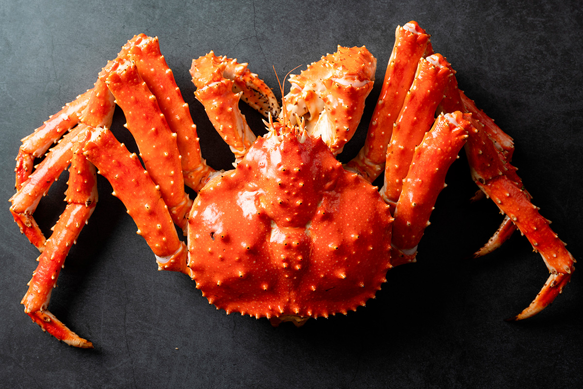 serata king crab al pennar di asiago